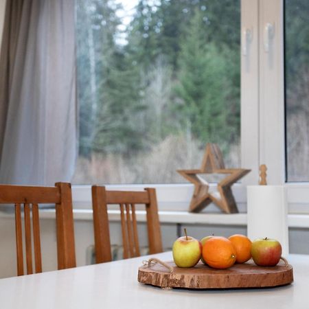 Apartmany Na Tanvaldskem Spicaku Jiretin pod Bukovou Εξωτερικό φωτογραφία